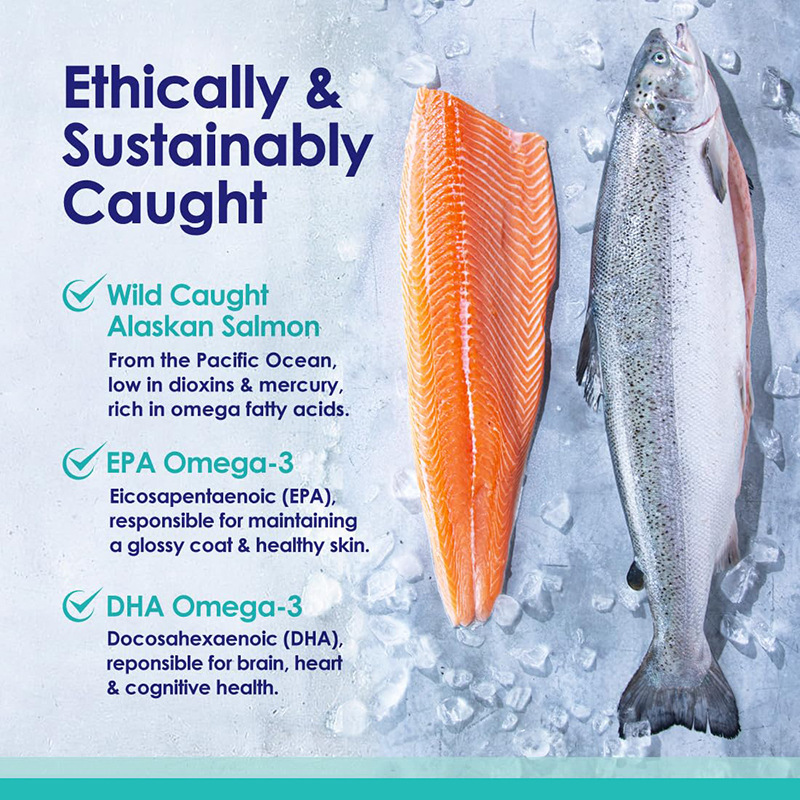 Omega 3 Fish Oil for Dogs, Wil - Omega 3 Fish Oil recension och pris