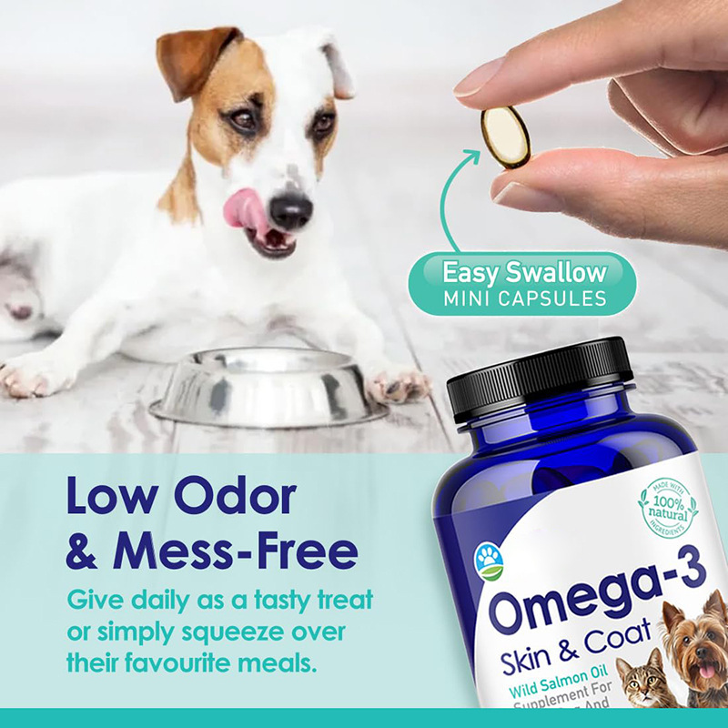 Omega 3 Fish Oil for Dogs, Wil - Omega 3 Fish Oil recension och pris